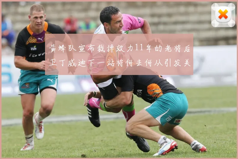 黄蜂队宣布裁掉效力11年的老将后卫丁威迪下一站将何去何从引发关注